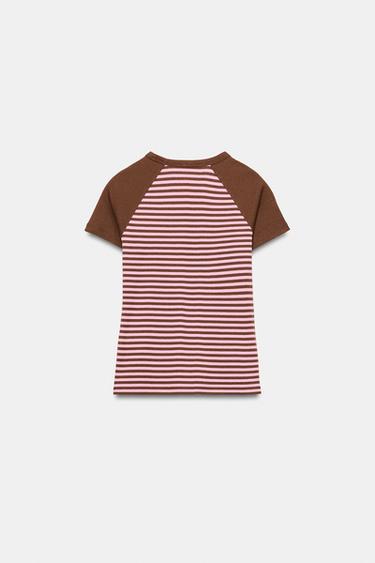 T-SHIRT MANCHES RAGLAN À RAYURES - Marron de Zara - Image 6