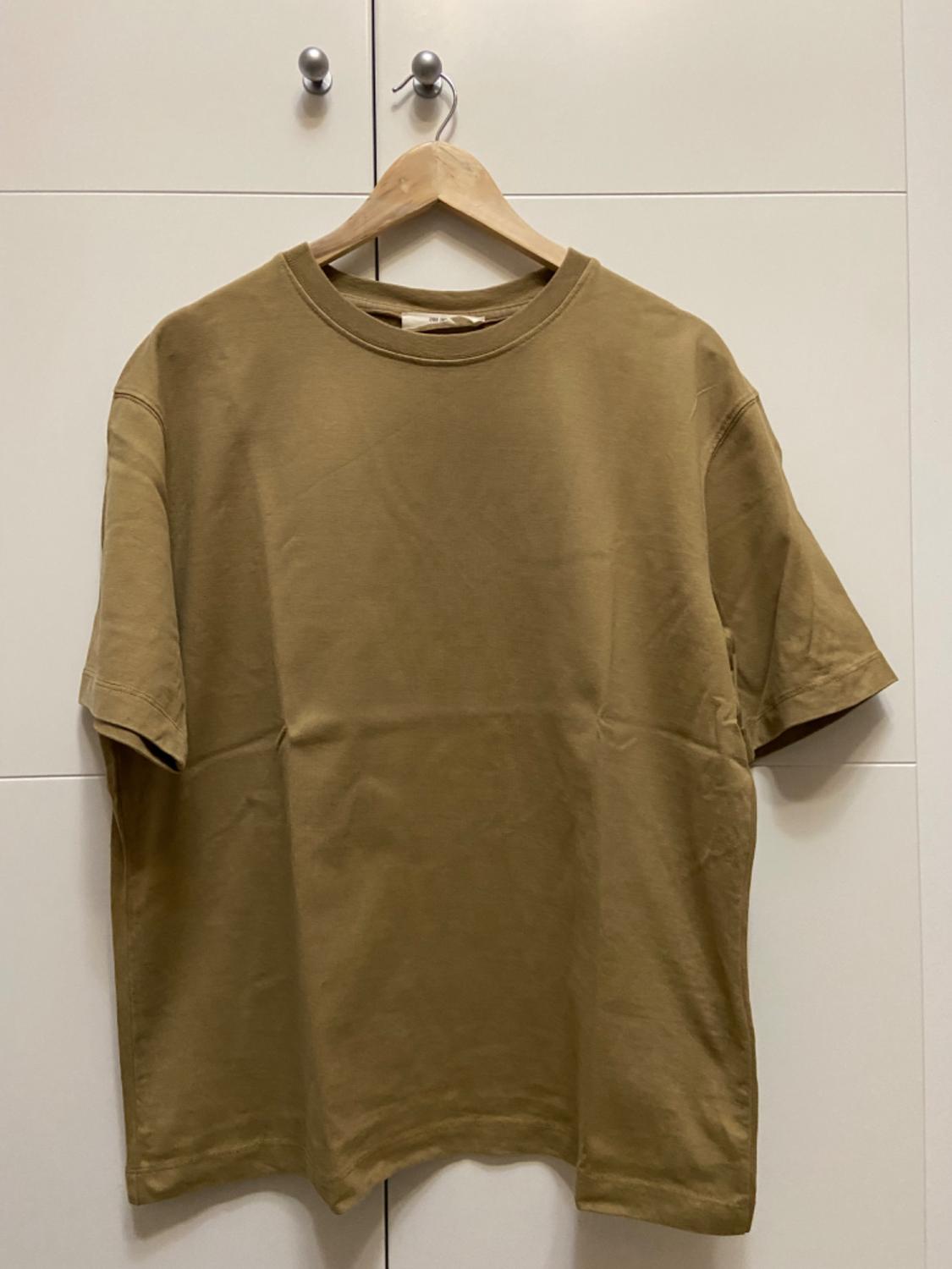 Brown t-shirt hanging on a wooden hanger in front of a white wardrobe with metal handles.
