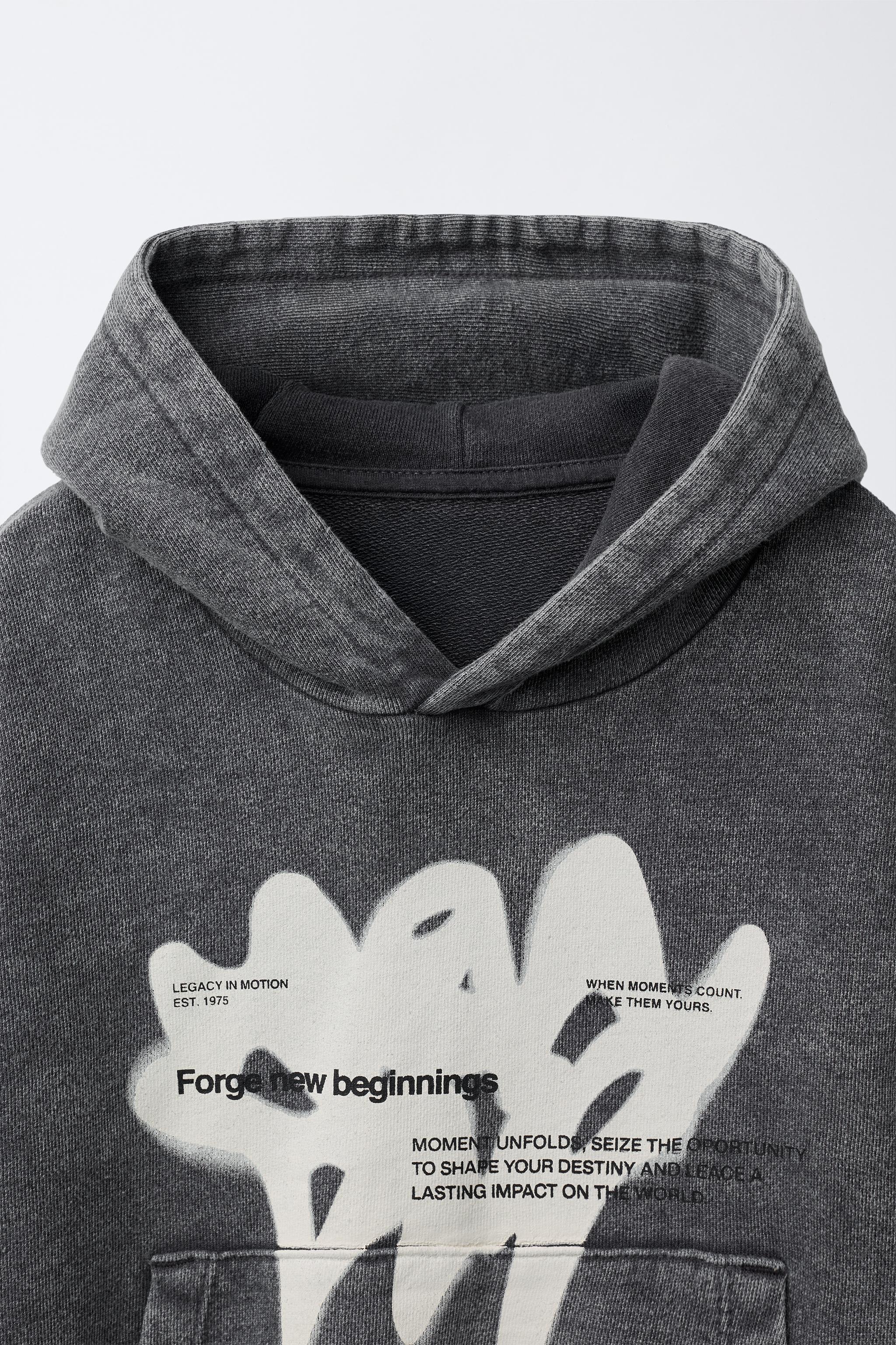 DOUBLE SLEEVE PRINT SWEATSHIRT - Gray / Beige | ZARA United