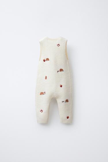 PETO PUNTO ERIZOS BORDADOS - Crudo de Zara