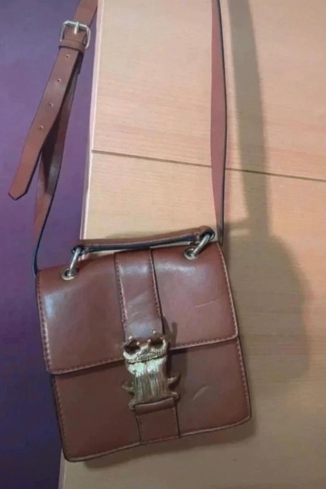 Front view of a brown handbag with a decorative gold insect clasp and adjustable strap.