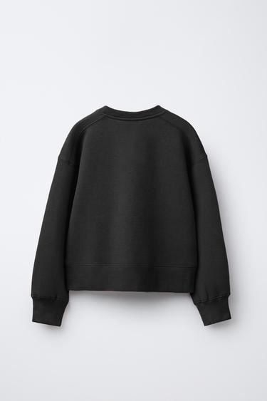 Sweatshirt Pull Noir Homme Zara Quarter Zip Collar Men´s