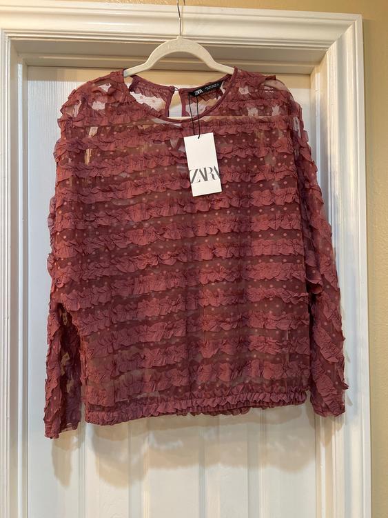 Pink blouse with ruffles and sheer details hanging on a hanger. Visible tag with the text "ZARA". White door background.