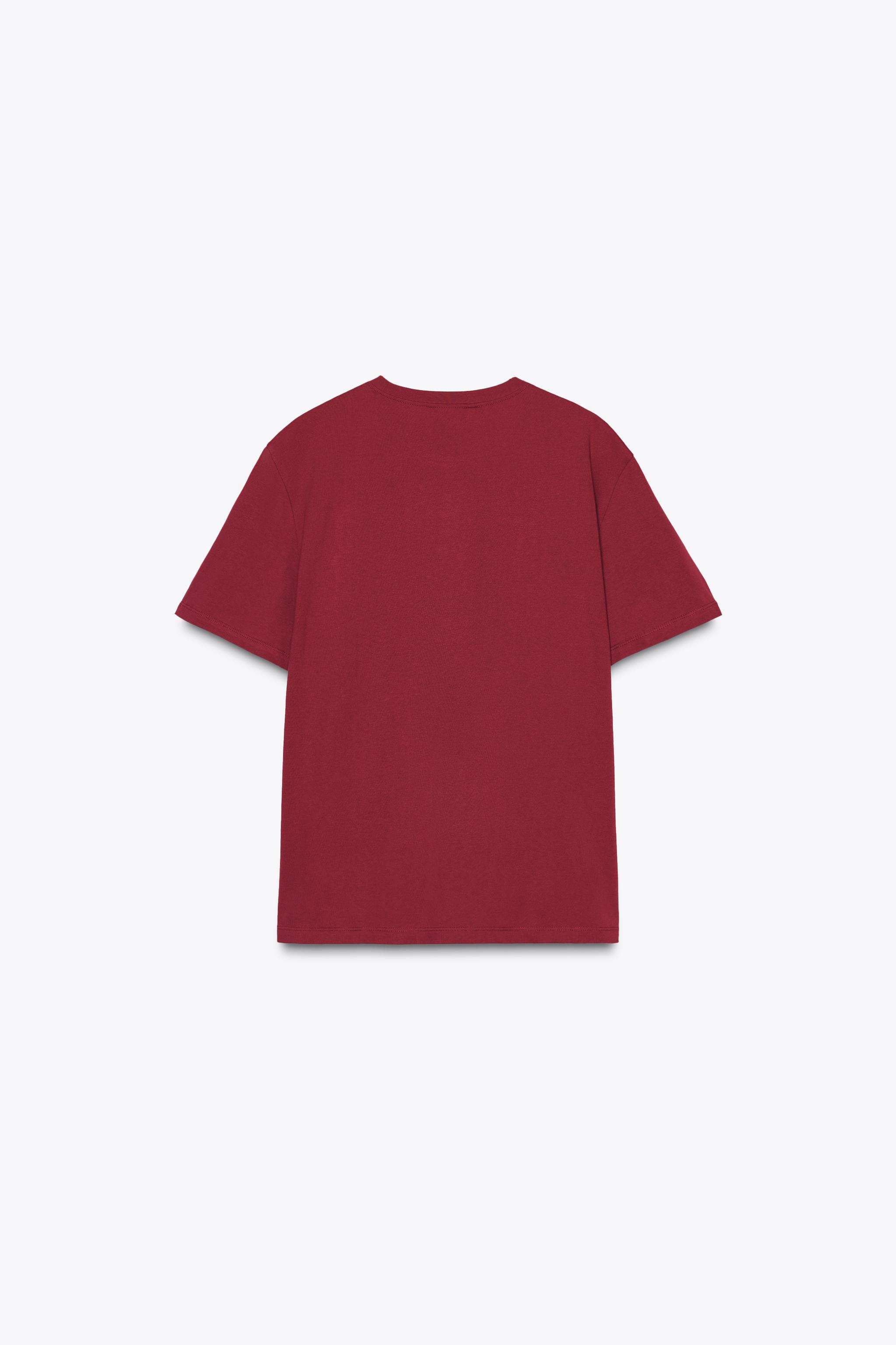 WASHED T-SHIRT WITH TEXT - Raspberry | ZARA Canada