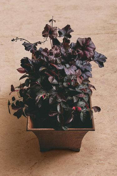 IRON PLANTERS - Greys by Zara - Image 5