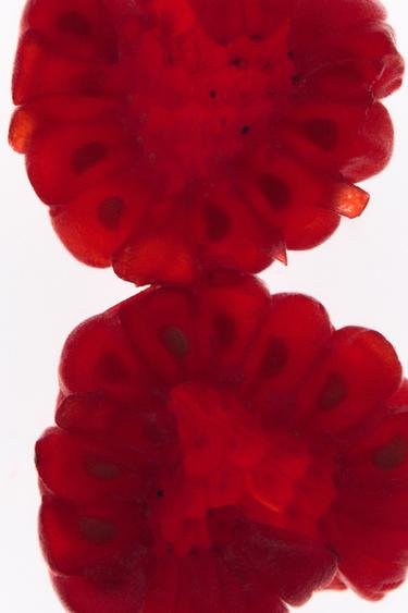 RED VANILLA & ZARA BLACK AMBER EDT 2X90ML / 3.04 oz -  by Zara - Image 2