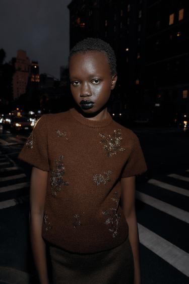 Zara SHORT SLEEVE KNIT BEADED JUMPER - Brown