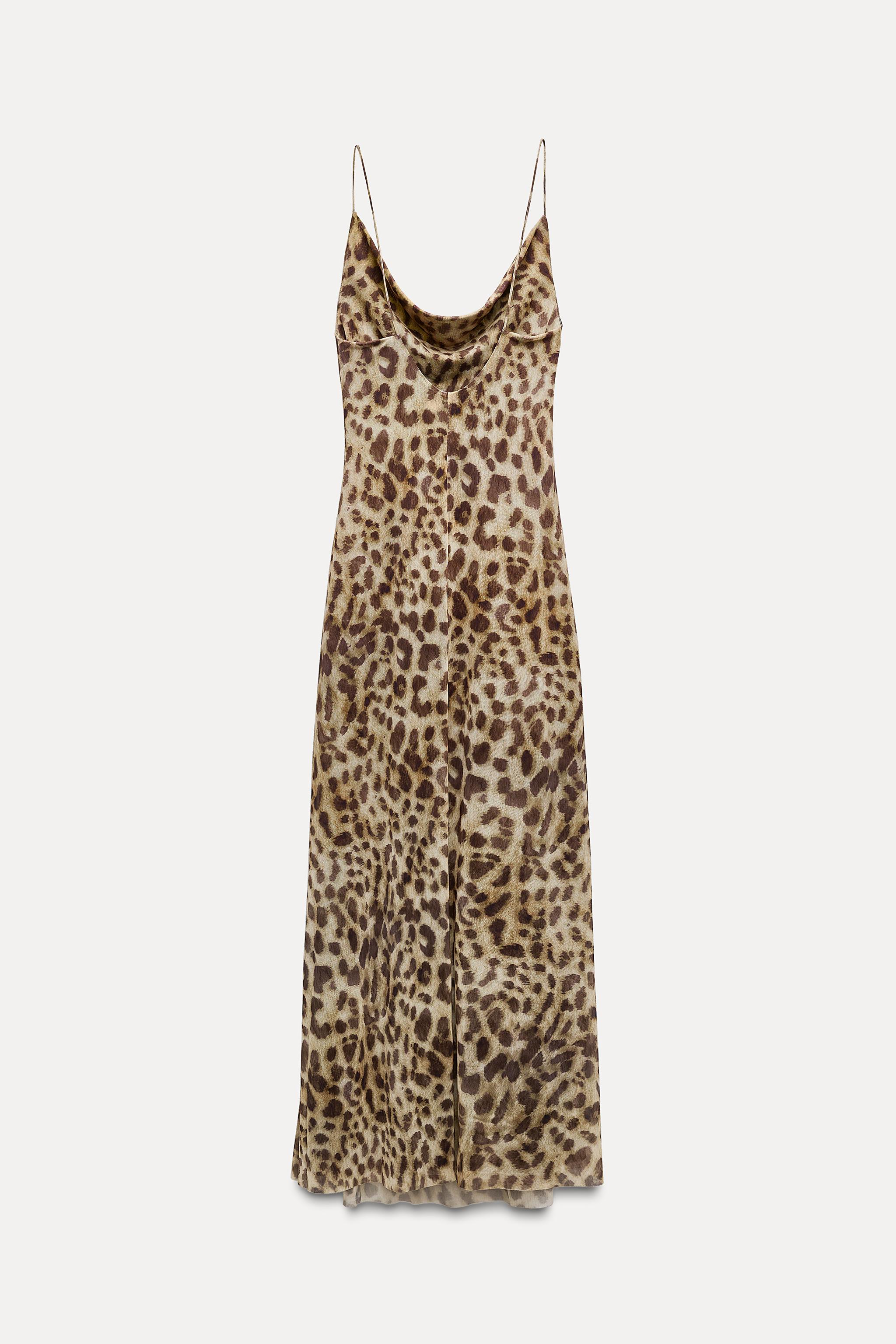 PRINTED TULLE DRESS - Leopard | ZARA United States