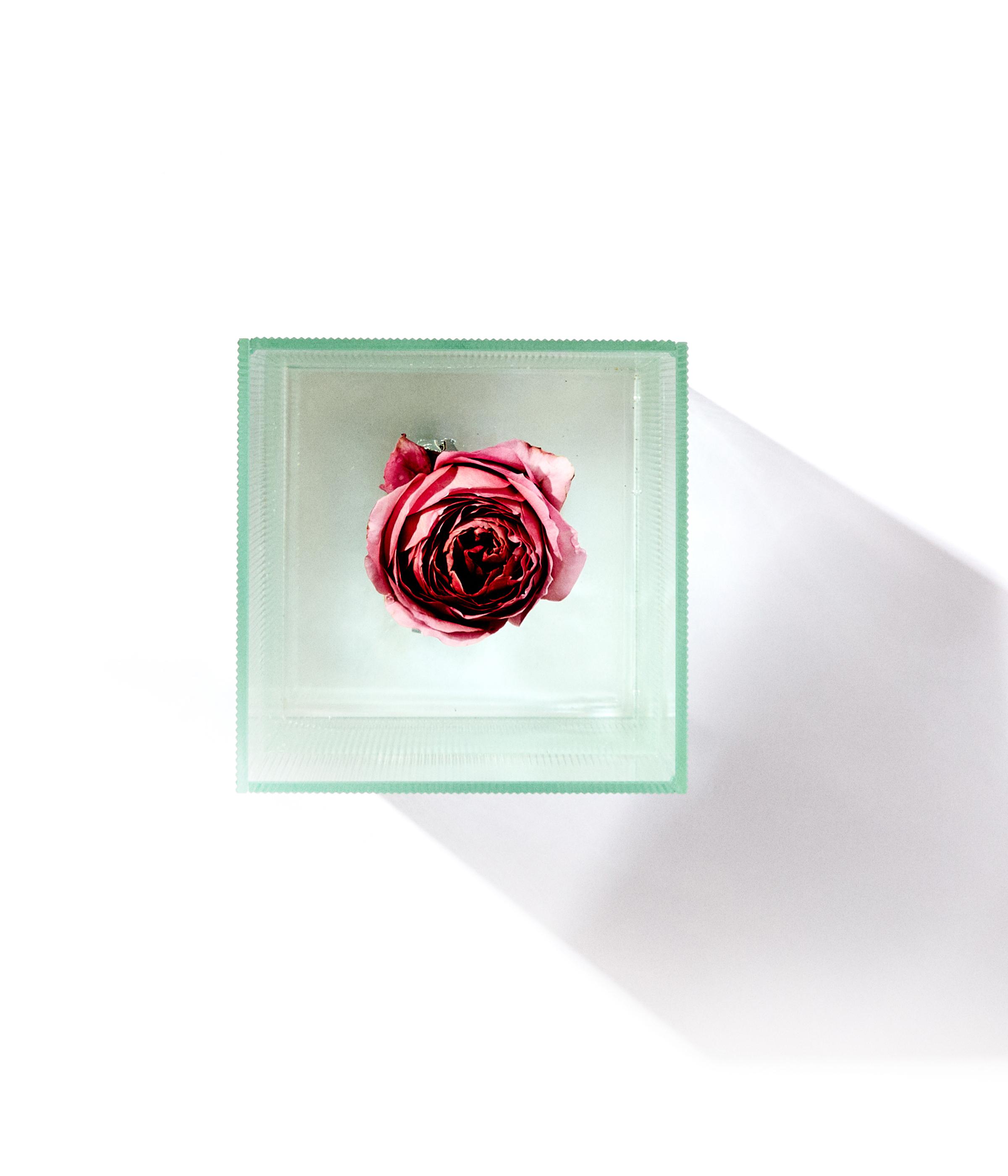 NICK KNIGHT FLOWER VASE