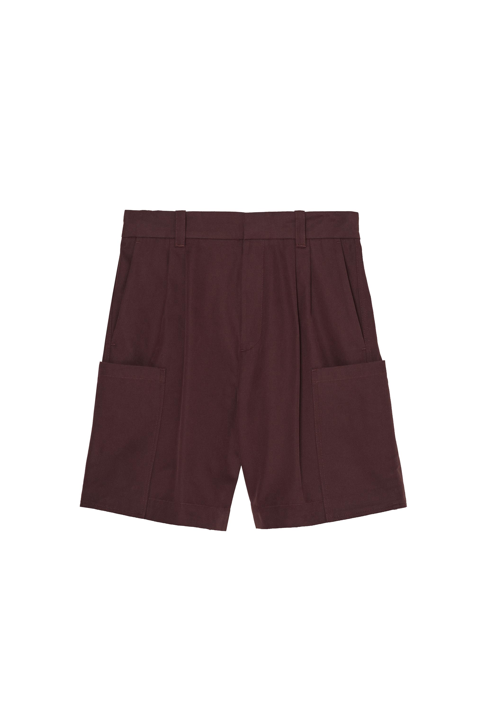 RELAXED FIT CARGO SHORTS WITH PLEATS — Brown