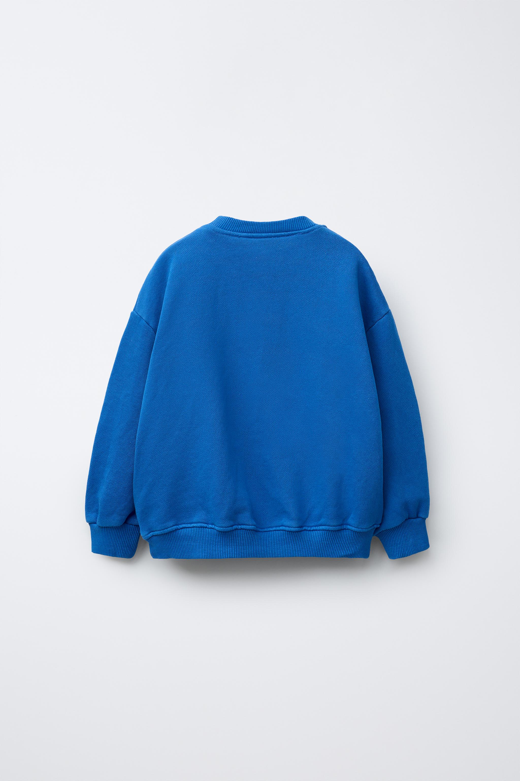 BONILLA A LA VISTA ® X ZARA PRINTED SWEATSHIRT - Bluish