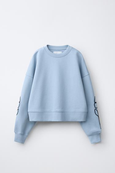 SUDADERA FLORES BORDADAS - Celeste de Zara - Imagen 0