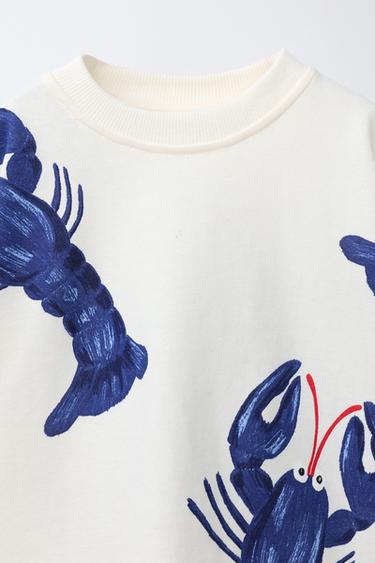 ENSEMBLE JOGGING T-SHIRT ET BERMUDA HOMARD - Bleu / Blanc de Zara - Image 2
