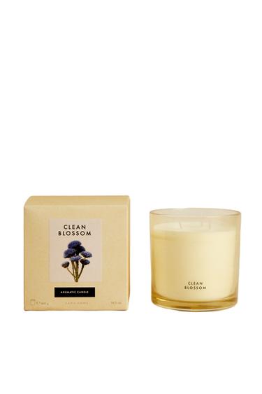 (400 G) CLEAN BLOSSOM SCENTED CANDLE - Green/White by Zara