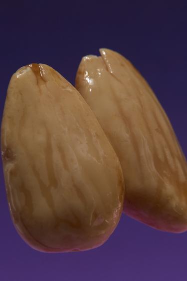 VIOLET BLOSSOM EDP 90 ML / 3.04 oz -  by Zara - Image 2