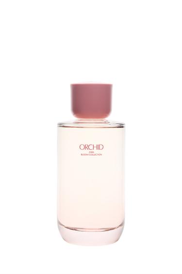 ماء عطري ORCHID سعة 180 مل (6.08 أونصة سائلة). - TINTED LEATHER الخاص بـ Zara