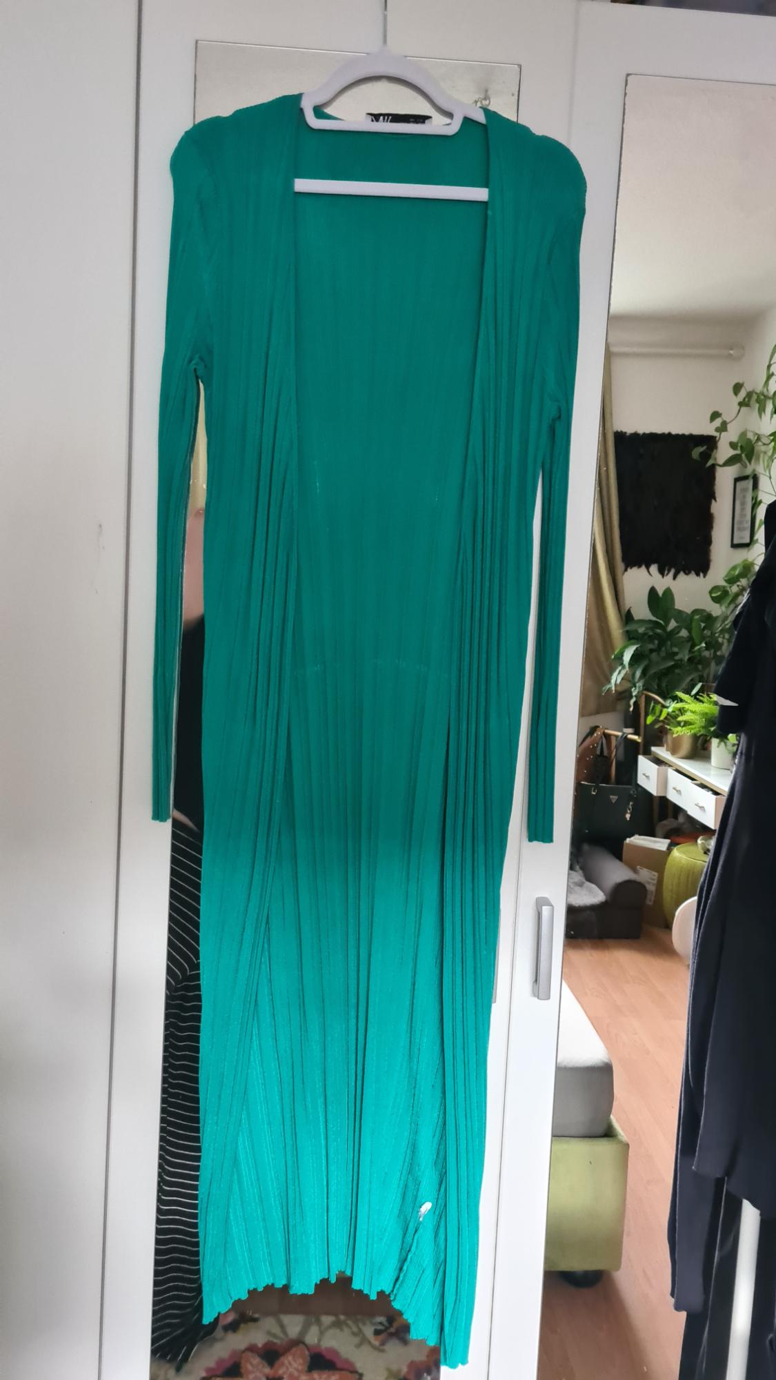 Long green dress hanging on a white hanger in front of a mirror. Background with plants and furniture in a brightly lit room.