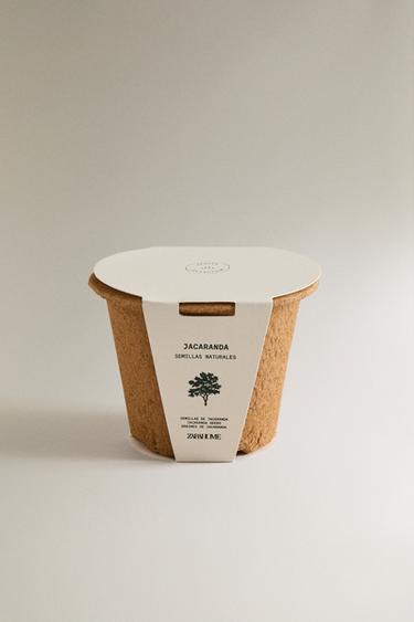SADA PĚSTOVÁNÍ SEMEN JACARANDA - Hnědá od Zara