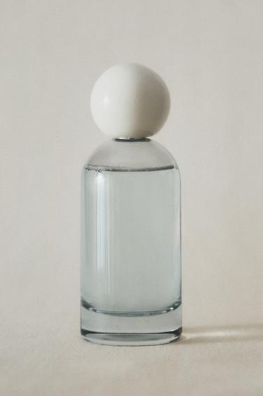 (100 ML) DIFFUSEUR EN SPRAY ÉCLAT DE LYS - Bleu clair de Zara - Image 5