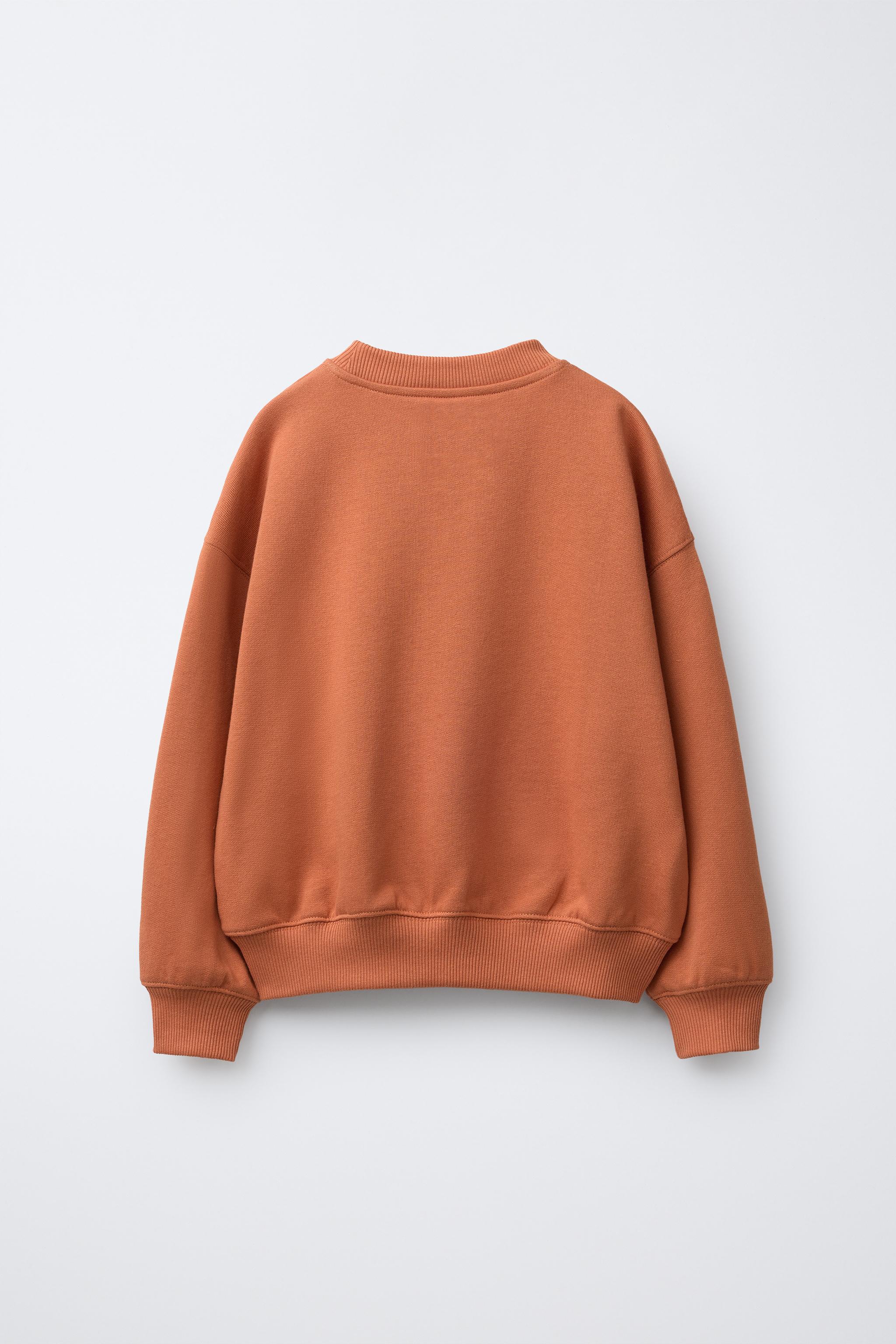 EMBROIDERED SLOGAN SWEATSHIRT Brick ZARA United Kingdom