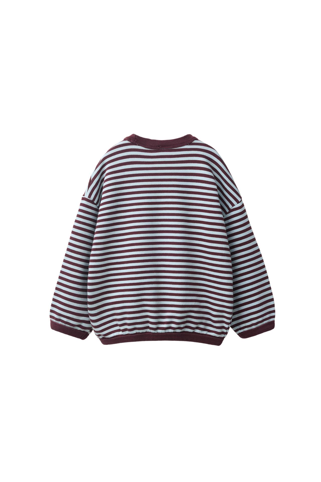 STRIPED PRINT SWEATSHIRT — Light blue