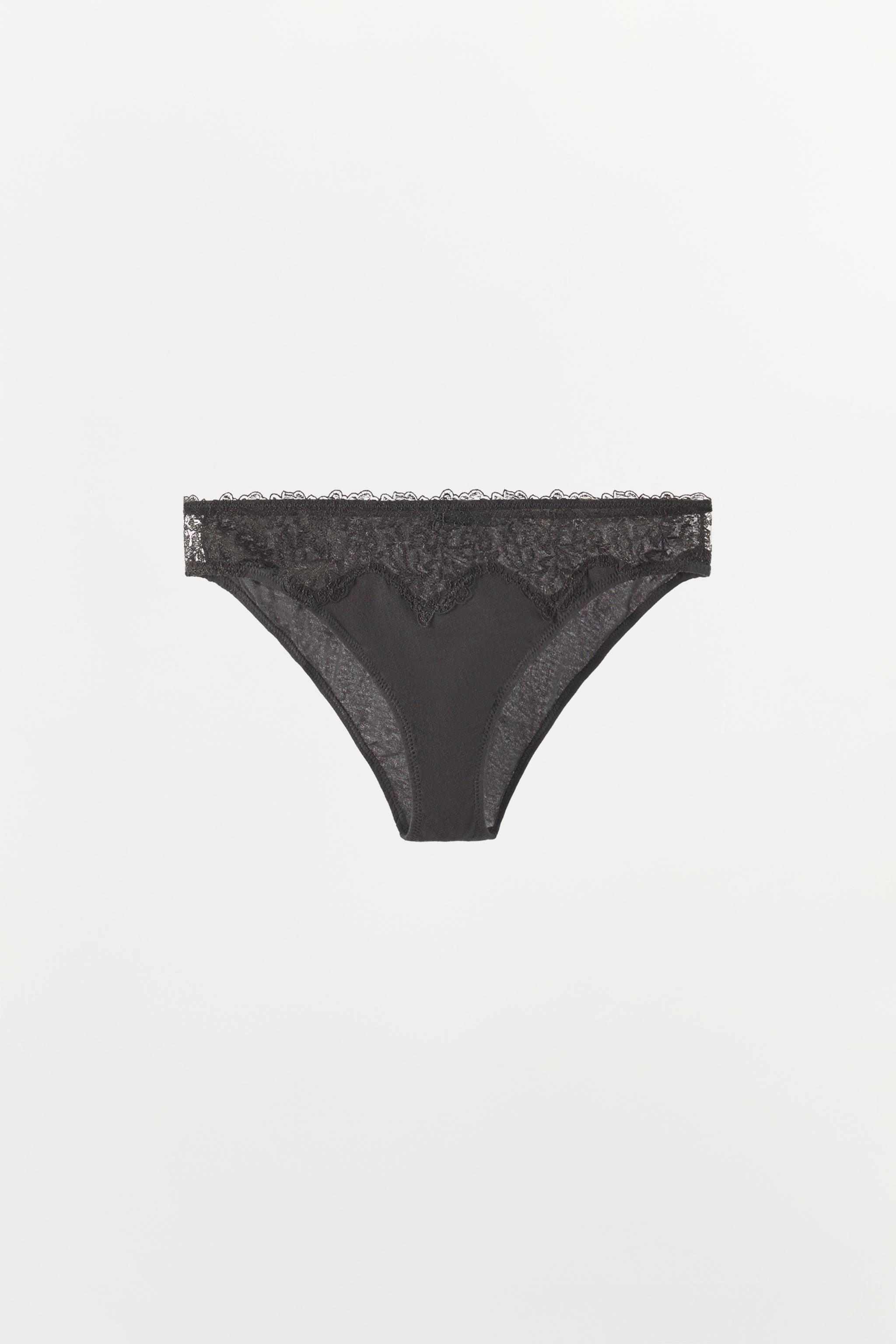 SILK AND LACE BRIEFS