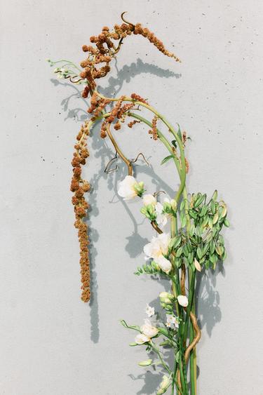 ORCHID & GARDENIA EDP 2x90ML (3.0 FL. OZ). -  de Zara - Image 1