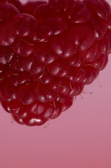 GARDENIA EDP 90 ML (3.04 FL. OZ). -  de Zara - Image 2