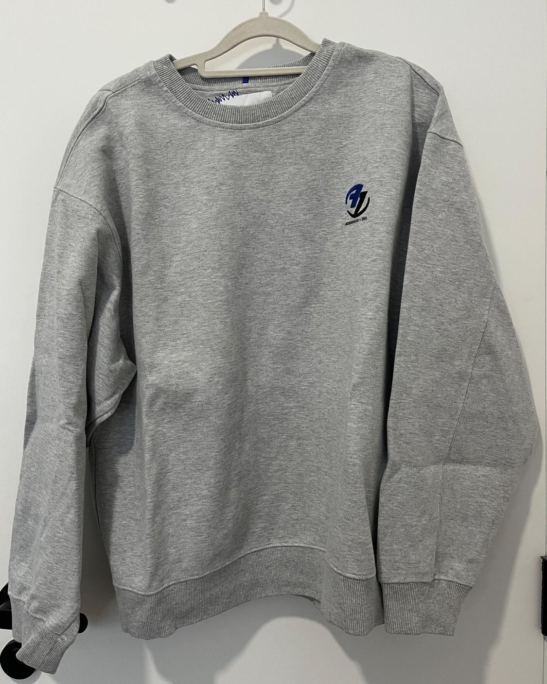 Grey sweatshirt hanging on a hanger, with blue and black logo on the chest. Plain white background.