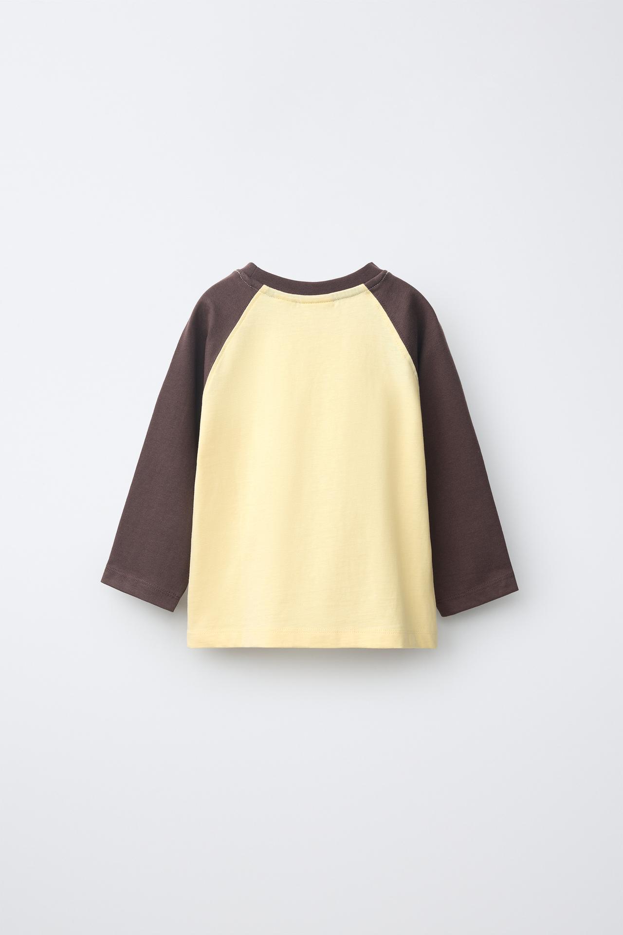 EMBROIDERED TEXT RAGLAN SLEEVE T-SHIRT — Brown
