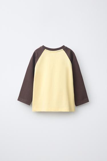 EMBROIDERED TEXT RAGLAN SLEEVE T-SHIRT — Brown 2