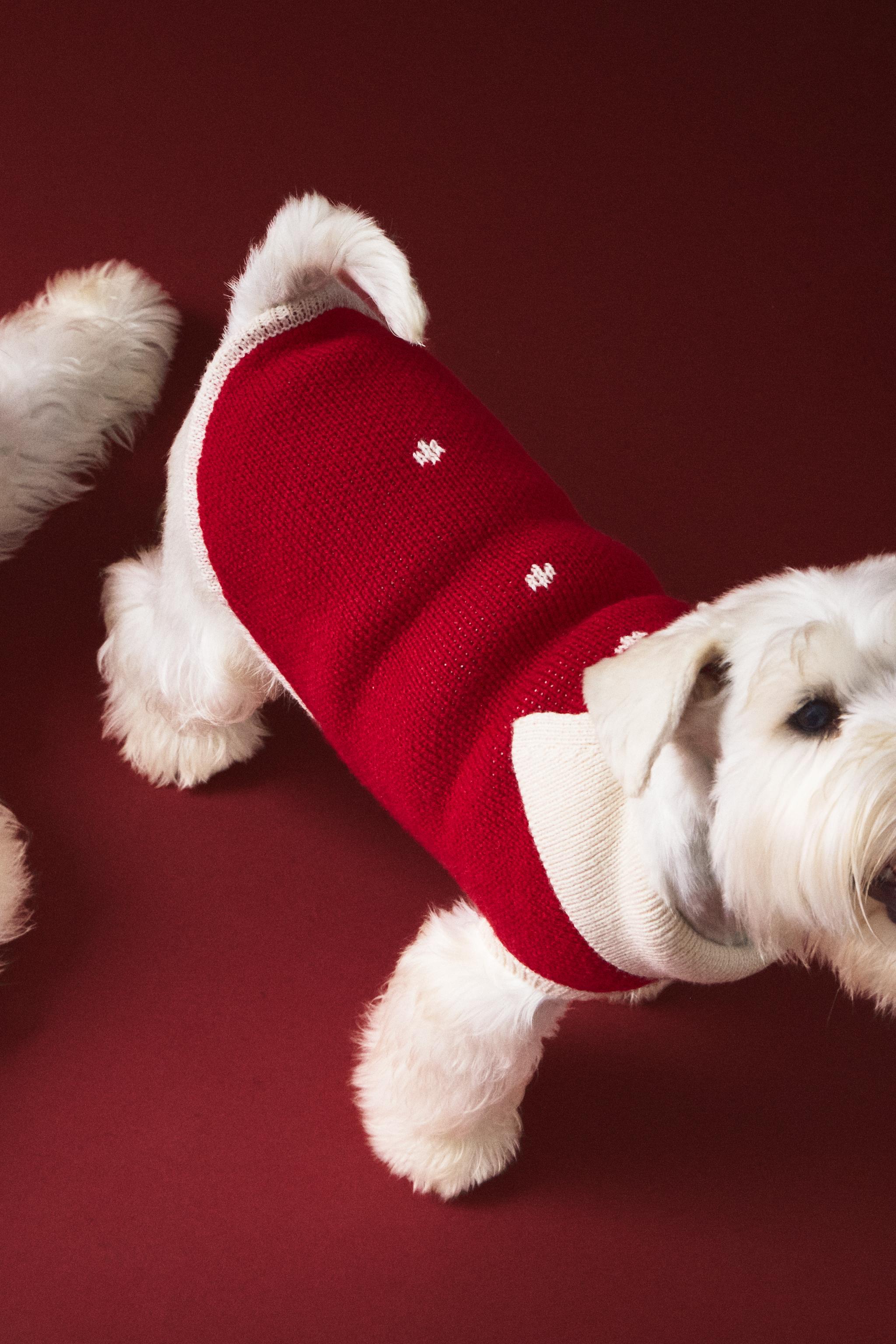 CHRISTMAS PET SWEATER