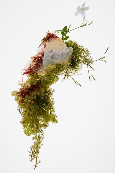 RED ZARA TEMPTATION ELIXIR PARFUM 80ML (2.7 FL. OZ). -  by Zara - Image 1