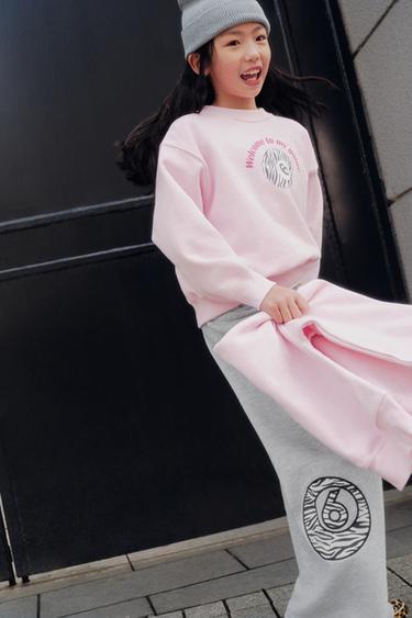 ゼブラビリヤードボールプリントスウェットシャツピンクZaraのゼブラビリヤードボールプリントスウェットシャツ - ピンク 