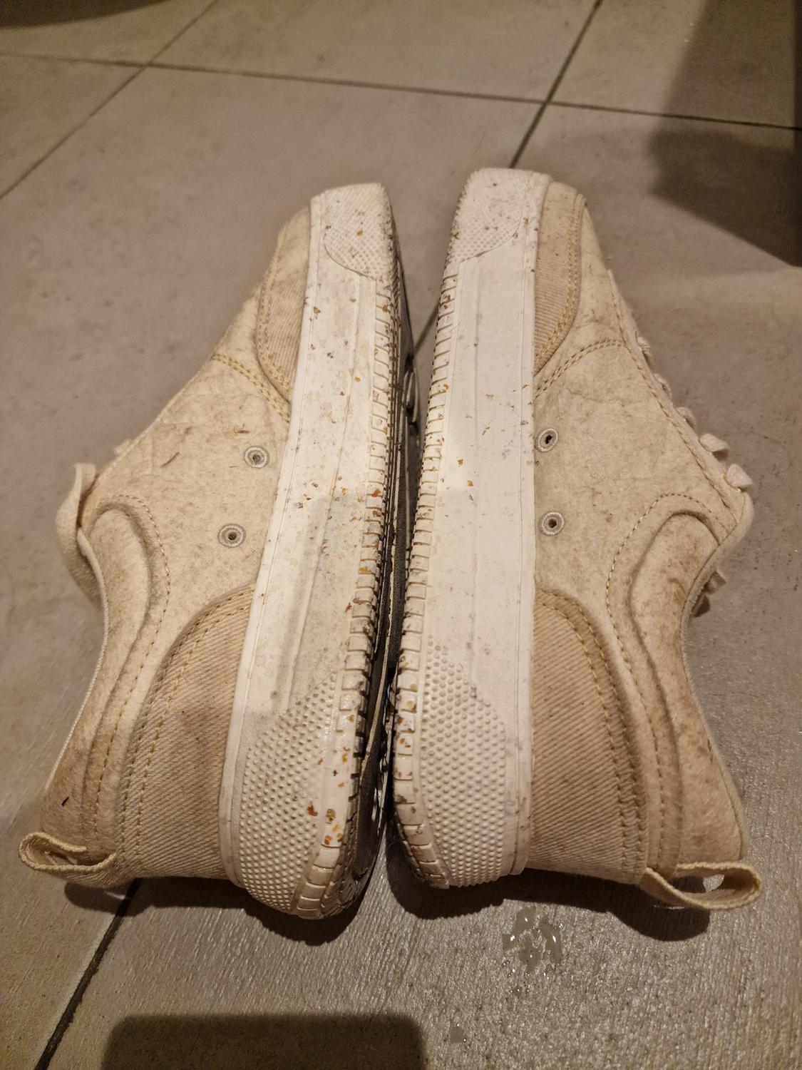 TRAINERS - Image 2