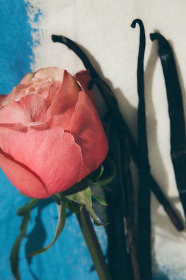 ROSE GOURMAND EDP 80ML / 2.71 oz -  by Zara - Image 3