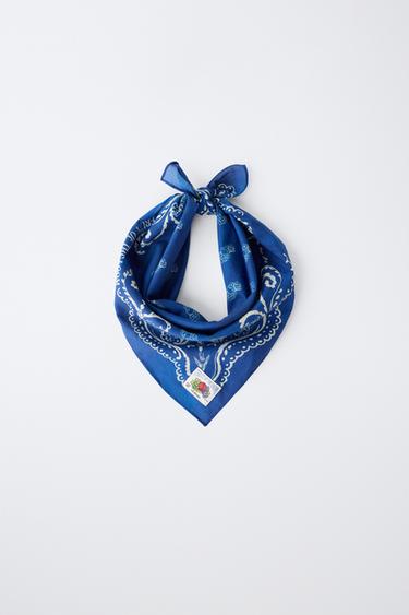FRUIT OF THE LOOM™ PAISLEY PRINT BANDANA — Blue 1