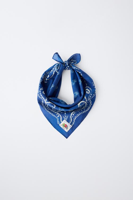 FRUIT OF THE LOOM™ PAISLEY PRINT BANDANA WITH LABEL - Blue by Zara - Image 0