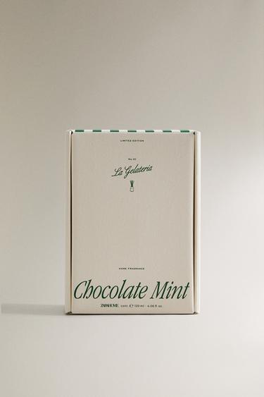 (120 ML) CHOCOLATE MINT REED DIFFUSERS - mink brown by Zara - Image 4