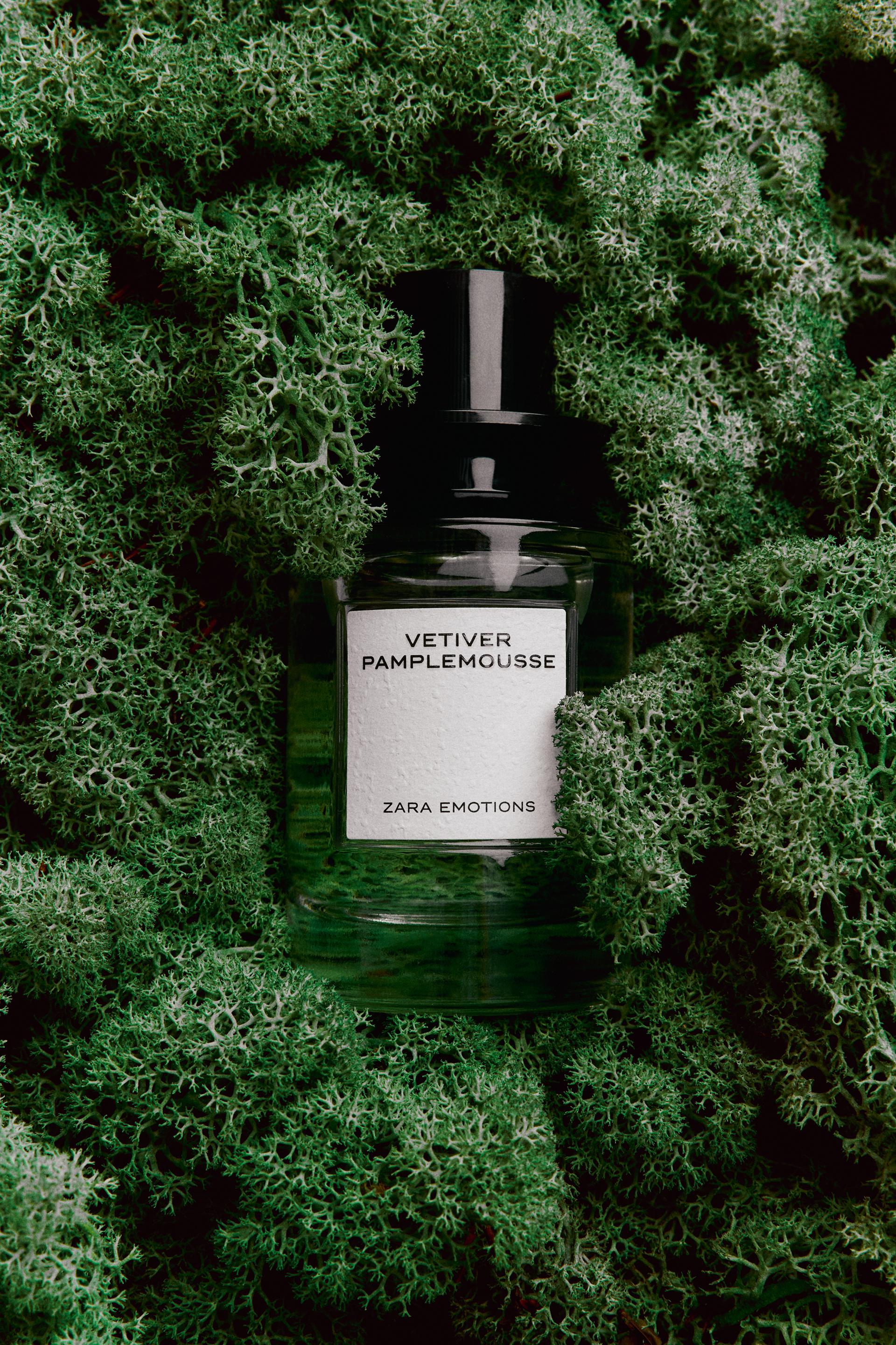 zara vetiver pamplemousse
