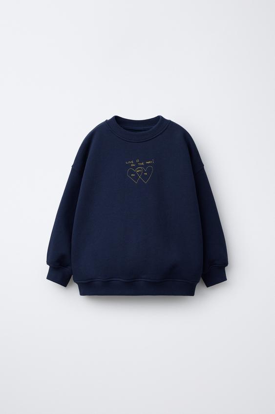 Sweat à Capuche Et Pulls Pour Fille 3-4 Ans - Marques Next, Zara - Occasion En Très Bon état