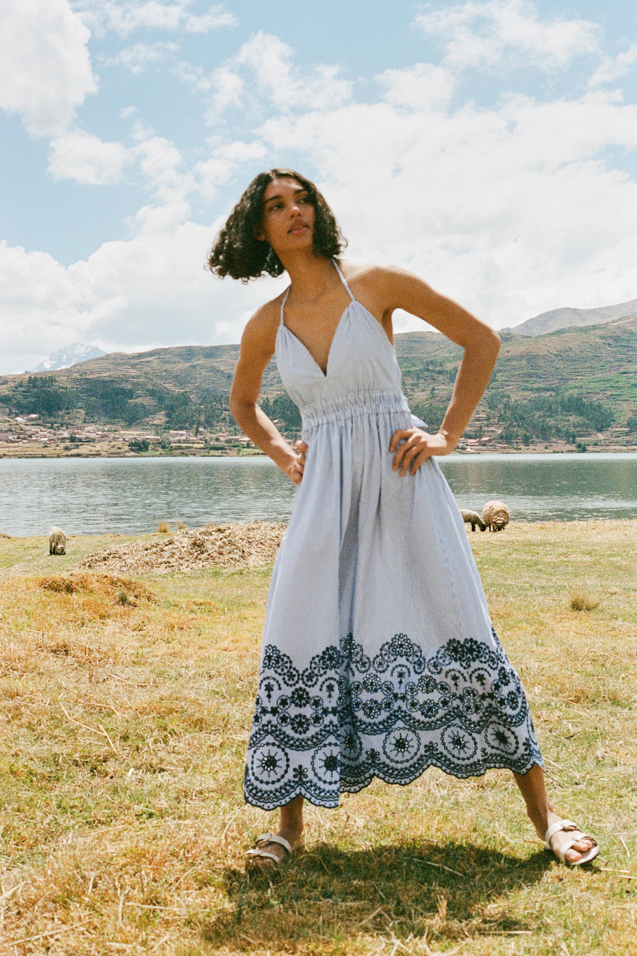 zara blue and white embroidered dress Floral Plunge V-Neck 3/4 Balloon Sleeve Midi Maxi A-li – Brie ZW COLLECTION EMBROIDERED MIDI DRESS Sea New York Frances Mini