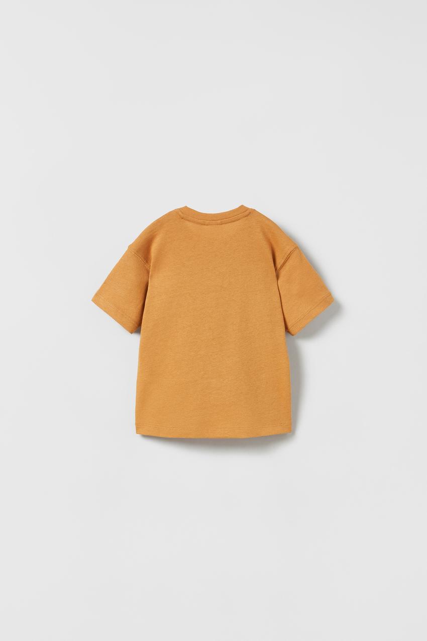 zara henley shirt