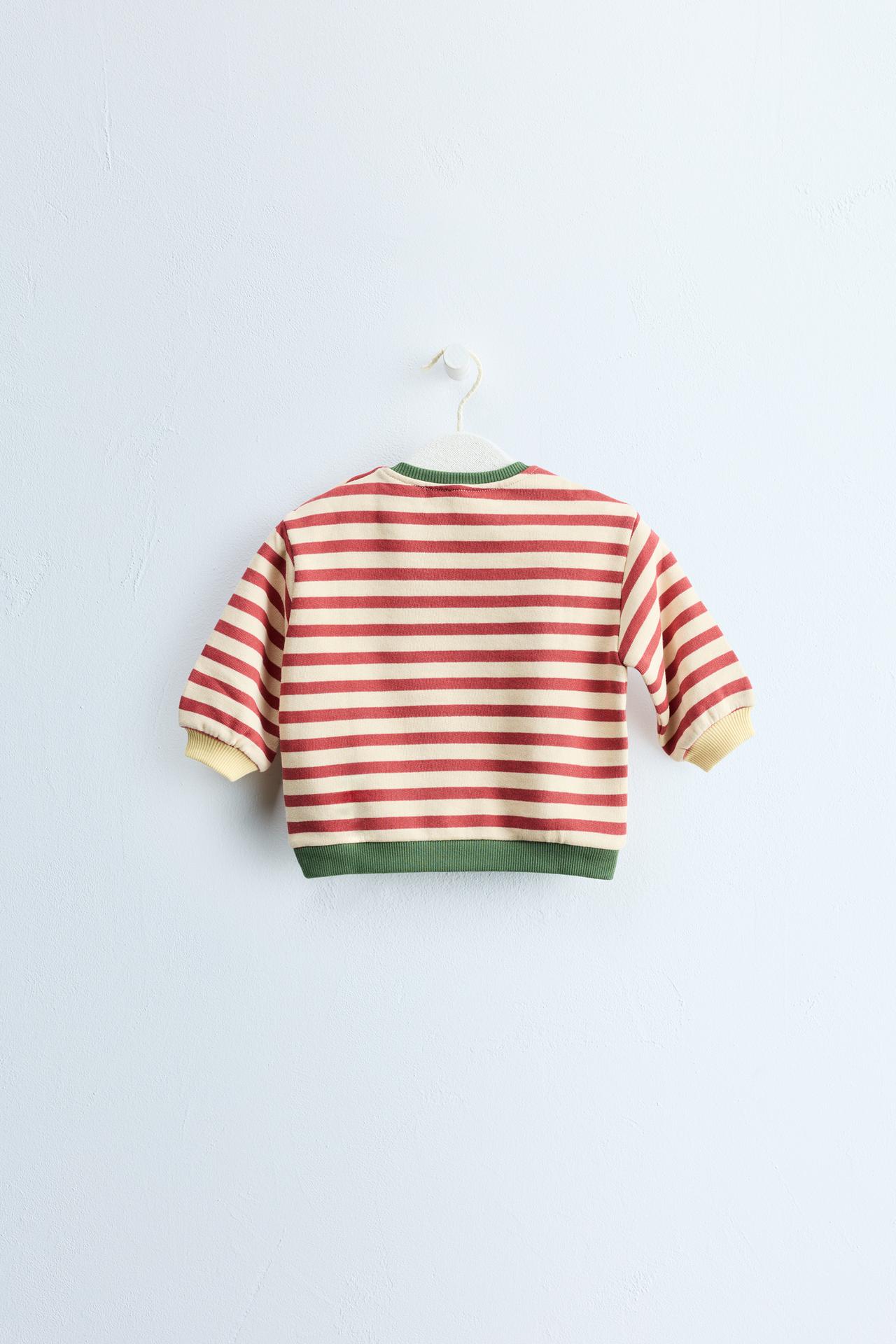ZARA TIMELESS - STRIPED PRINT SWEATSHIRT — Brick