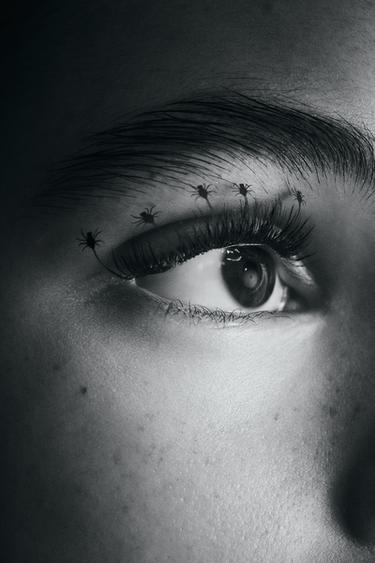{navn} - {farge} for Zara