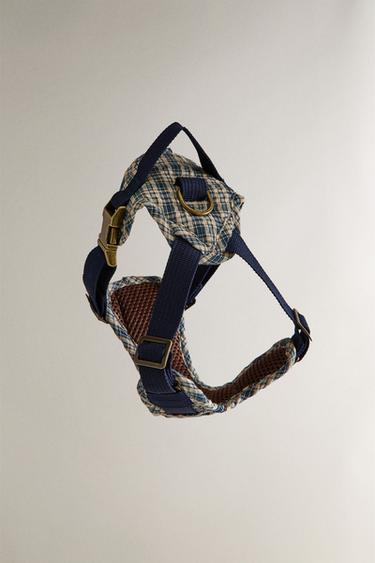 لجام للحيوانات الأليفة بمربعات فيشي - أزرق الخاص بـ Zara - صورة 0