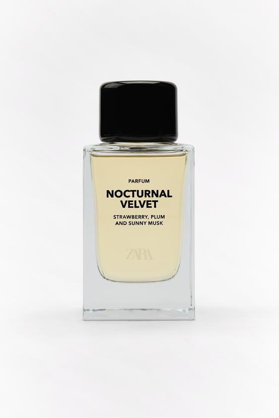 zara nocturnal velvet