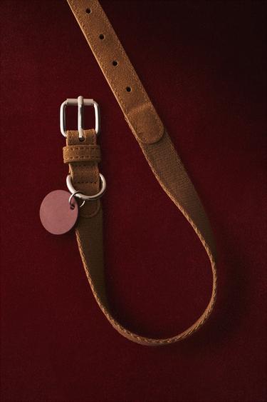 LEATHER PET COLLAR - Beige by Zara