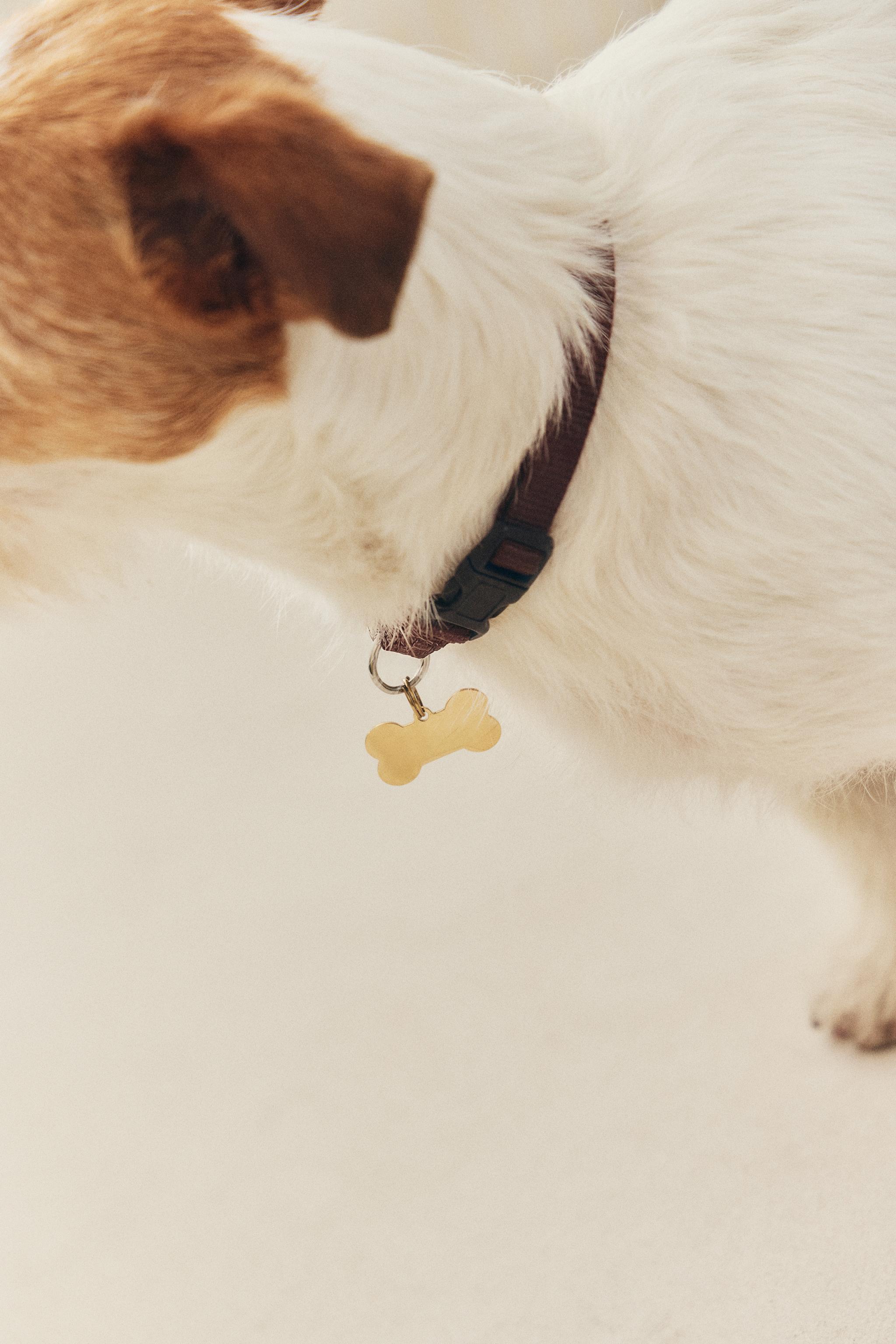 STAINLESS STEEL BONE PET CHARM
