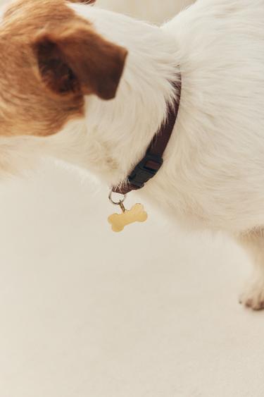 Zara STAINLESS STEEL BONE PET CHARM - 金色